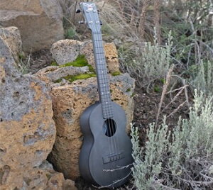 OUTDOOR UKULELEiAEghA ENj ei[EN Tenor Carbon Nickel