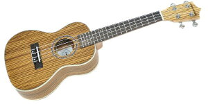 PLAYTECH(プレイテック) PUK350C Concert Zebra コンサートウクレレ【ギグバッグ付】