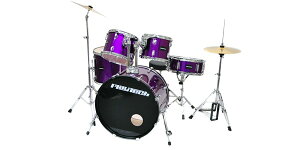 PLAYTECH(��ZENN�j�i�v���C�e�b�N�[���j �h�����Z�b�g ZDS3000X Purple