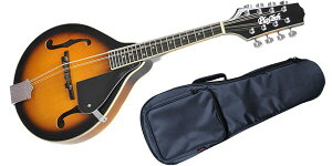 PLAYTECHivCebNj SA100 VS@tbg}hi\tgP[Xtj