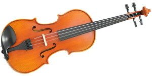 PLAYTECHivCebNj PVN534 AEgtBbgoCIZbg 3/4