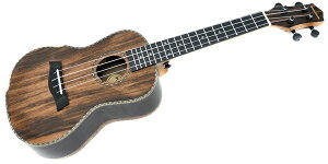 PLAYTECHivCebNj RT[gEN PUK401