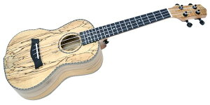 PLAYTECH�i�v���C�e�b�N�j �R���T�[�g�E�N���� PUK403