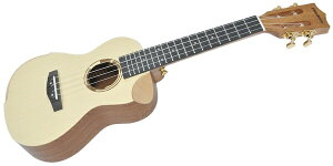 PLAYTECH�i�v���C�e�b�N�j �R���T�[�g�E�N���� PUK404