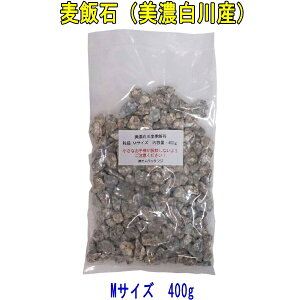 Y@ѐ΁iZ씞ѐ΁jAMTCYia10mm`20mmxjA400gyɎgpzy݁F{Xւ̃NbN|XggpzyzBwsAsAX֎󂯂ɂ͂