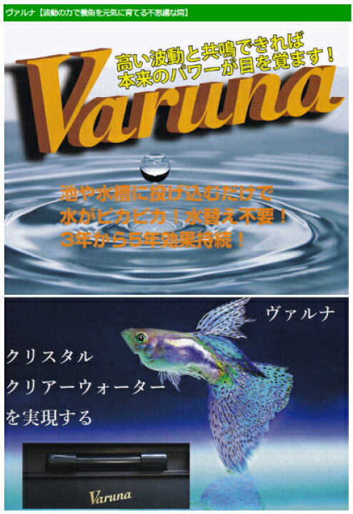 楽天市場】ヴァルナ・ミニ 水槽用 約23cm【Varuna・mini 23cm】養魚用 