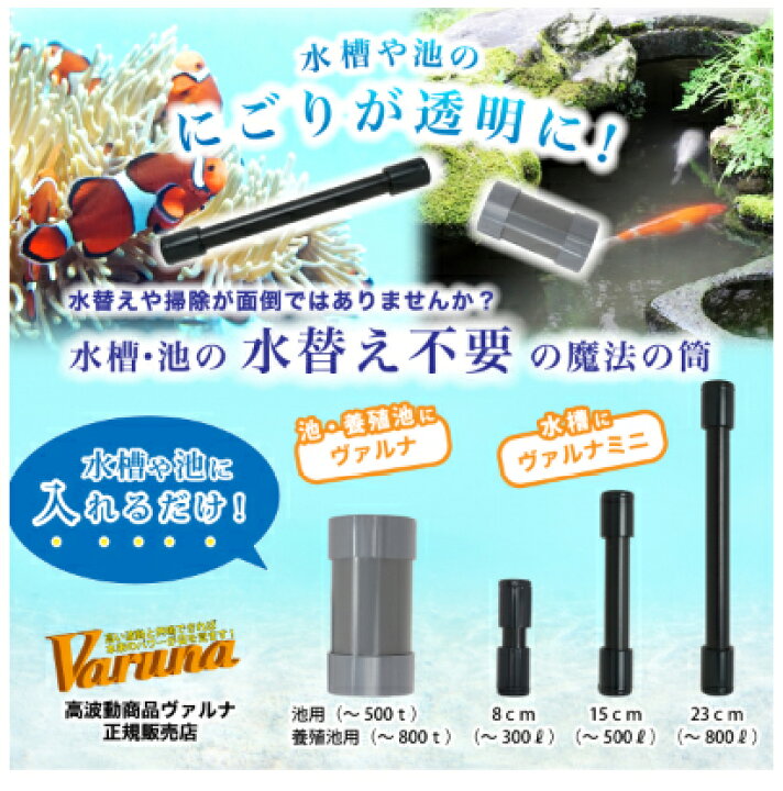 楽天市場】ヴァルナ・ミニ 水槽用 約23cm【Varuna・mini 23cm】養魚用 