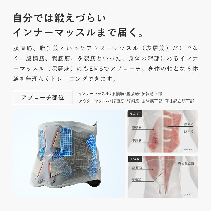 楽天市場】＼LLサイズ登場／「腰専用」SIXPAD メディカルコア 