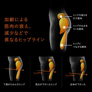 加齢による筋肉の衰え、減少などで異なるヒップライン