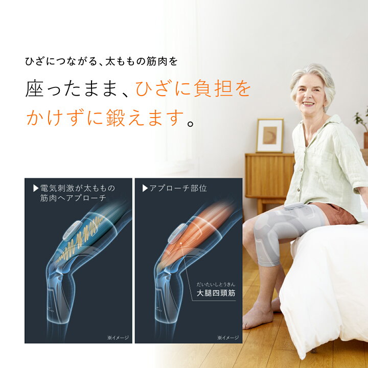 楽天市場】シックスパッド ニーフィット SIXPAD Knee Fit EMS MTG ひざ 