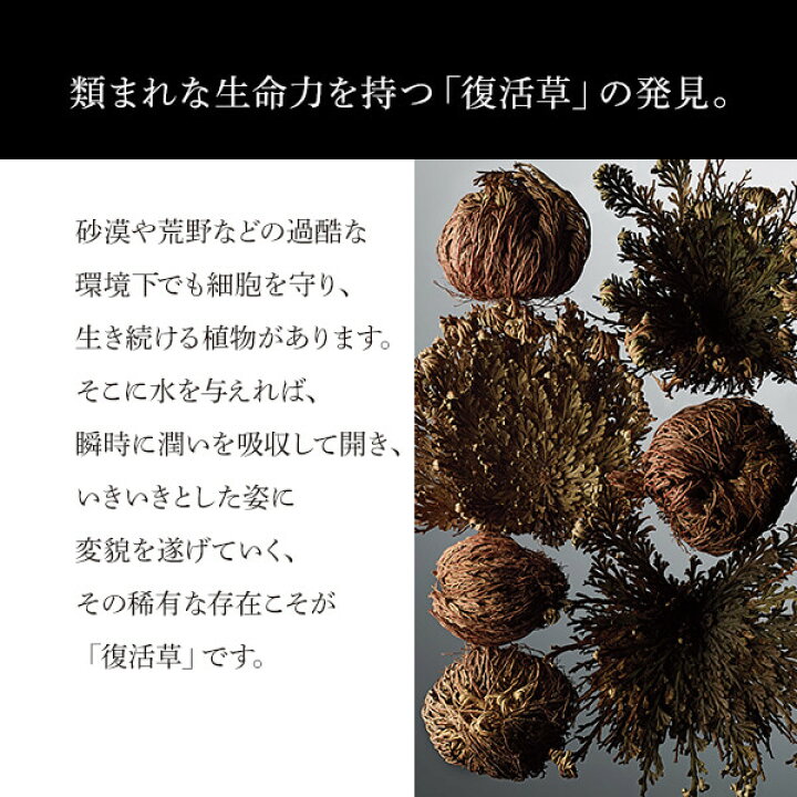 楽天市場】【メーカー公式】 ザ リインベンションクリーム 50g MDNA 