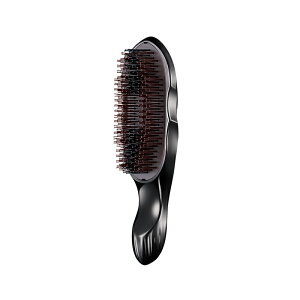 _yVTԃLO1ʁ^t@ CIPAuVv~A ReFa ION CARE BRUSH PREMIUM uV PA wAPA Vv[uV z wAuV ь  C Mtg v[g 