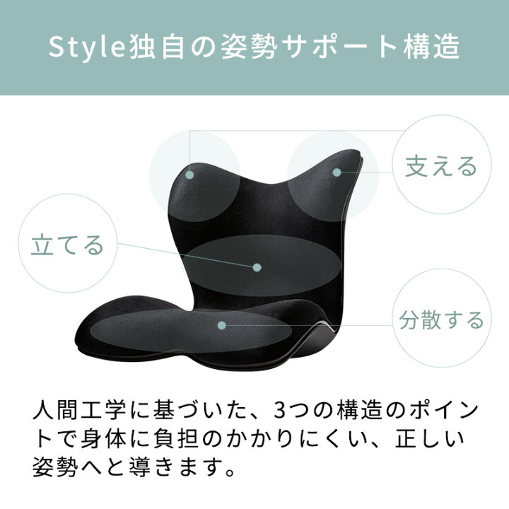 楽天市場】スタイルプレミアム デラックス Style PREMIUM DX ギフト  