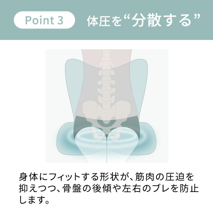 楽天市場】【10%ポイントバック】スタイルプレミアム デラックス Style 