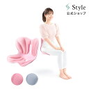 スタイル ナチュラル Style Natural 腰 肩 負担 軽減 姿勢 猫背 S字 骨盤 耐圧 分散 通気性 長時間 テレワーク リモー…