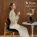 スタイルプレミアム デラックス アルファ Style PREMIUM DX ギフト プレゼント クリスマス ブラックフライデー 【メー…
