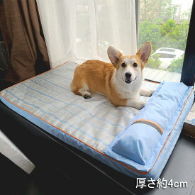 あす楽 ペットマット 夏用 冷感マット 接触冷感 ひんやり マット 犬 猫 ペット ひんやり 冷感パッド ペットマット クールマット 接触冷感マット 犬 猫用 夏 熱中症 ペット用品 ペットクールマット ベッド グッズ 暑さ対策 滑り止め 水洗い 便利 いぬ 犬用 猫用 送料無料