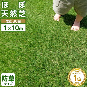���]����4.50�� �l�H�� ���[�� 1m×10m 1m×5m 1m×1m 35���{ �h���^�C�v���� �����x ���ϋv �ŏ�30mm ���A���l�H�� �Ń��[�� �Ń}�b�g UV�J�b�g �� �x�����_ �e���X ���� �K�[�f�j���O �K�[�f�� �t�F�C