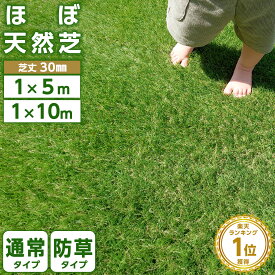 高評価★4.50★ 人工芝 ロール 1m×10m 1m×5m 35万本 防草タイプあり 高密度 高耐久 芝丈30mm リアル人工芝 芝ロール 芝マット UVカット 庭 ベランダ テラス 屋上 ガーデニング ガーデン フェイク芝生 U字ピン 防草シート MTK