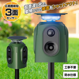 【単品/1台】3面式 広範囲 動物撃退器 超音波 アニマルバスターズ アシュラ2 動物除け 猫よけ 猫除け ネコ除け 鳥獣対策 獣害対策 USBソーラー 防水 光 サイレン 威嚇 カラス 猪 狸 鳩 ねずみ 畑 庭