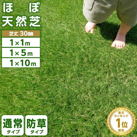 高評価★4.50★ 人工芝 ロール 1m×10m 1m×5m 1m×1m 35万本 防草タイプあり 高密度 高耐久 芝丈30mm リアル人工芝 芝ロール 芝マット UVカット 庭 ベランダ テラス 屋上 ガーデニング ガーデン フェイク芝生 U字ピン 防草シート