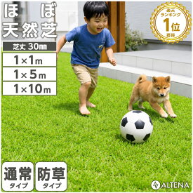 ＼赤字価格！大放出／高評価★4.50★ 人工芝 ロール 1m×10m 1m×5m 1m×1m 防草タイプあり 高密度 高耐久 芝丈30mm リアル人工芝 芝ロール 芝マット UVカット 庭 ベランダ テラス 屋上 ガーデニング ガーデン フェイク芝生 U字ピン 防草シート ALTENA