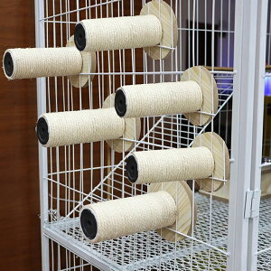 L P[WpXebv Vׂ܂Ƃ|[ 1`6Zbg VRTCU ~ߕt P[Wp ܂Ƃ lR ˂ ܂Ƃ Ki LpXebv   ˂ ⏕Xebv P[Wt l