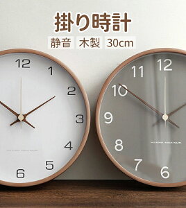 Ǌ|v |v É ؐ 30cm 啶 k i` ؍CeA EH[NbN Vv  Â Ȃ rO Q q Lb` ֗p Ǌ| v 