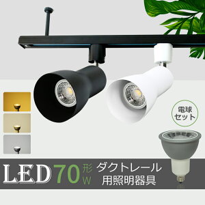 X|bgCg _Ng[pX|bgCgLEDd̃Zbg̔ 70W` E11 dF F RF [Cg CeBO[iMT-L300-NSX008-SETj