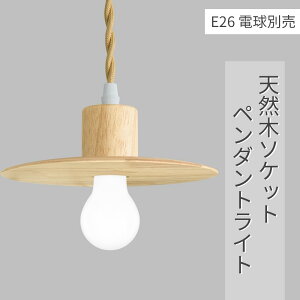 y_gCg LEDdt E26 VR tBgd CeBO[p Ɩ VƖ ݂艺  R[ht i` Vv k g 110cm߉\ Hp Q