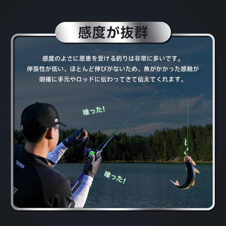 【在庫僅少】 楽天市場】PEライン 釣り糸 4本編 8本編 高強度PE 150m 船釣り 絵画