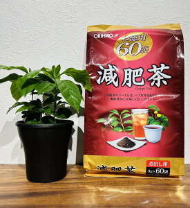�I���q�� ���� �����p ���쒃 3g×60�� ���쒃�I���q��