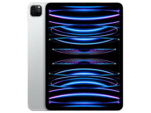 Apple ^ubgPC iPad Pro 11C` 4 Wi-Fi+Cellular 512GB 2022NHf MNYH3J/A SIMt[ [Vo[] yzAz