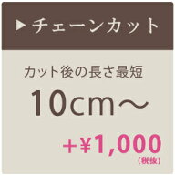 【楽天マラソン限定クーポン配布中】シャンデリア チェーンカット 最短10cm 加工 チェーン加工 短く調整 …