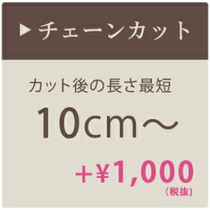 yyVX[p[SALEN[|zzzVfA `F[Jbg ŒZ10cm H `F[H Z V