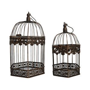  CeA  Ƃ肩 CeA fBXvC IuWF ACAo[hP[W wLTS 2Zbg EFJ{[h EGfBO   K[fjO GNXeA V