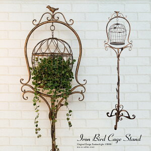  X^h CeA  Ƃ肩 AeB[N o[hP[W X^h  NX}X  K[fjO GNXeA V t[AW nMO GM-116