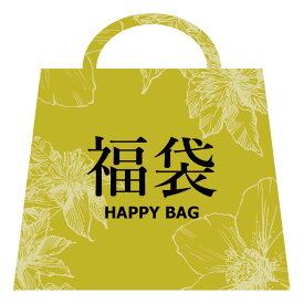 福袋 2024 レディース アクセサリー K10 10金 ジュエリー ピアス ネックレス ふくぶくろ 11000円 Happy Bag