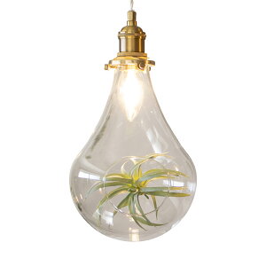 yyVX[p[SALEN[|zzzy_gCg KX eE tFCNO[ AW  {^jN V