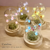 ナイトランプ LEDフラワードーム 間接照明 インテリア カタリナ プリザーブドフラワー ドライフラワー テ…