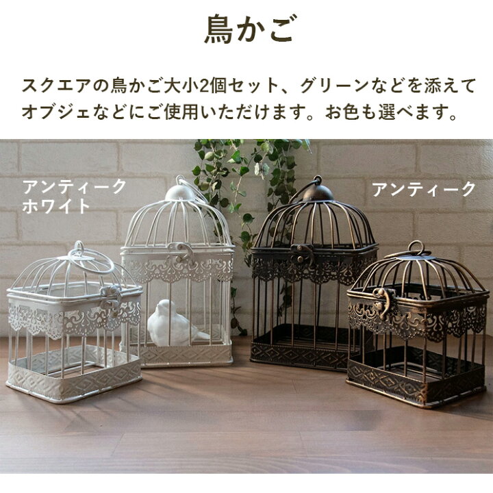 楽天市場】鳥 福袋 雑貨 小鳥 コトリ 鳥かご オブジェ トレイ 4点 