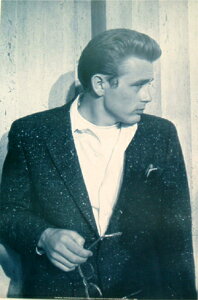 WF[YfB[@|X^[yTX-1441 z