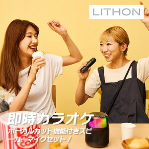 ���C�\�� LITHON �悢�ǂ�X�s�[�J�[���}�C�N SP-43 KABS-043B �v���[���g �M�t�g