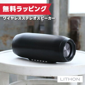 ���C�\�� LITHON ���C�����X�X�e���I�X�s�[�J�[ SP-04 KABS-015B �v���[���g �M�t�g