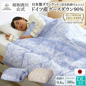 y9%OFF 11/4 20:00~11/11 01:59zH |ӂƂ{hCcO[X90 _uO iTCYF190×210cm^d0.4kgj380_Ep[EC907 ėp Hѕzc  ėp |zc { Hѕzc 