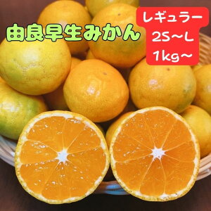 is\)y瑁z Lc݂ 1kg`  1000~|bL  ݂ ~J  Gi Di Yn a̎R Y  5kg  10kg y Z[ z
