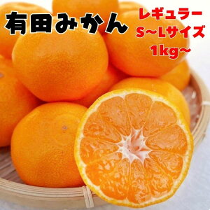 s\yXlCNO.1z Lc݂ 1kg`  1000~|bL  ݂ ~J  Gi Di Yn a̎R Y  5kg  10kg yJXLO Z[ z