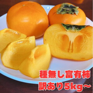 yȂ莟Iz xL` 5kg`  `  Ȃ 󂠂 Yn a̎RY 5kg 10kg yJXLO Z[ z