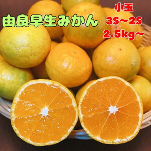 y瑁z Lc݂   1000~|bL  ݂ ~J  Gi Di Yn a̎R Y  5kg  10kg y Z[ z