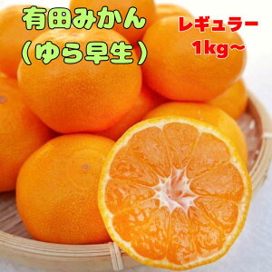 y瑁z Lc݂ 1kg`  1000~|bL  ݂ ~J  Gi Di Yn a̎R Y  5kg  10kg y Z[ z